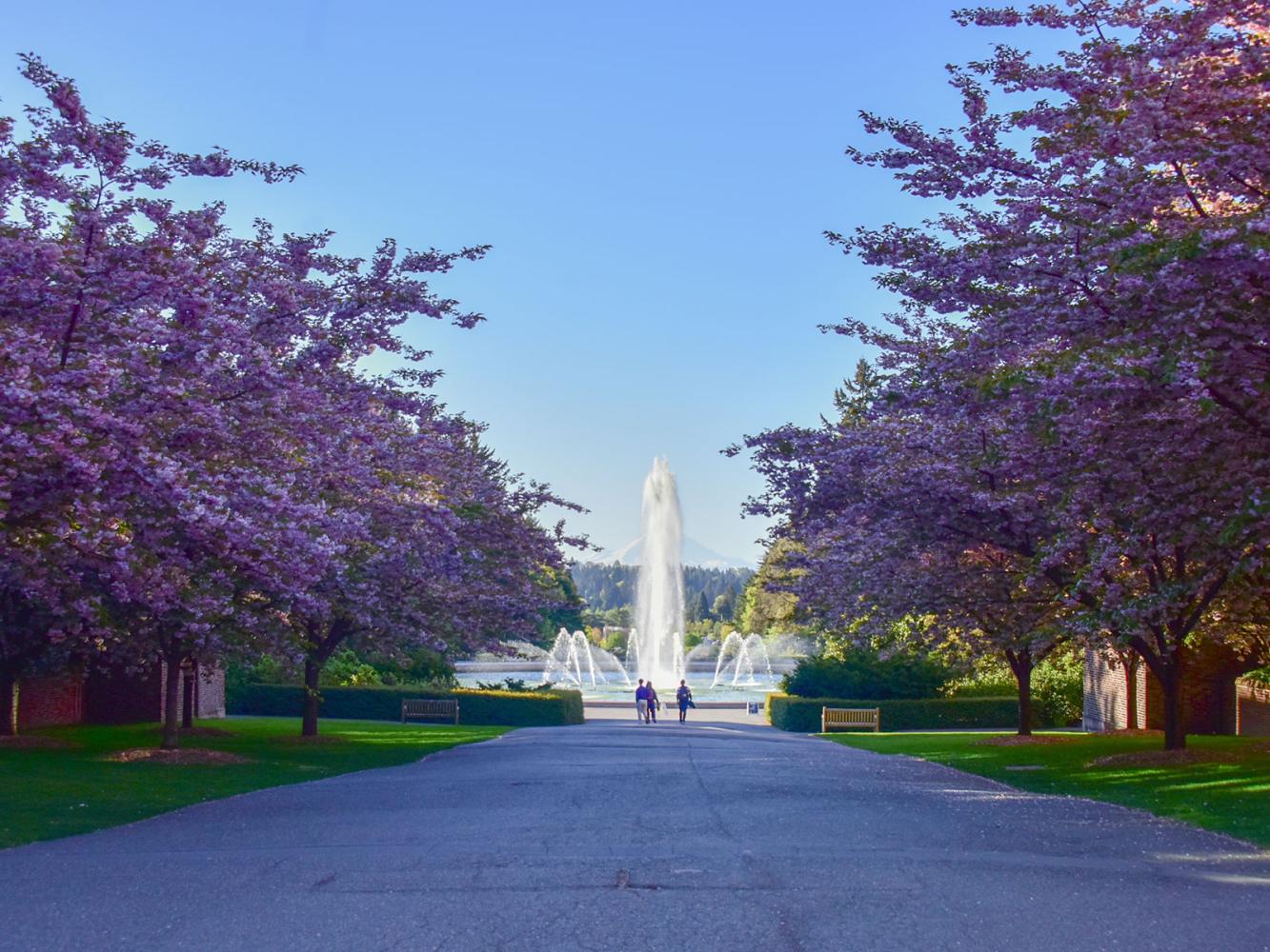 drumhoeller fountain, uw