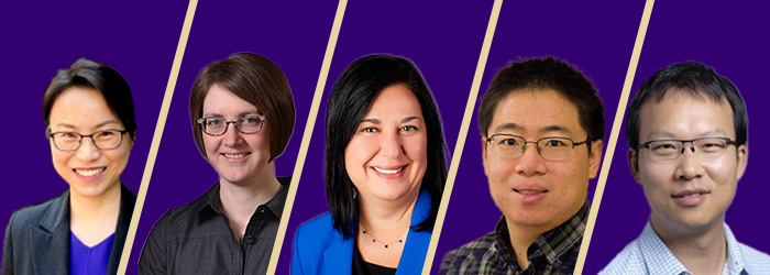 min sun nsf grant team