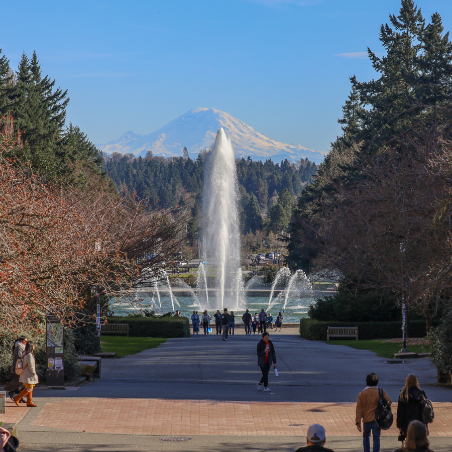 Students walking on campus near fountain